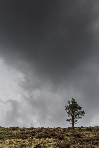 2019_05_03_Auvergne (0046).jpg - Depuis le puy Pariou (Mai 2019)